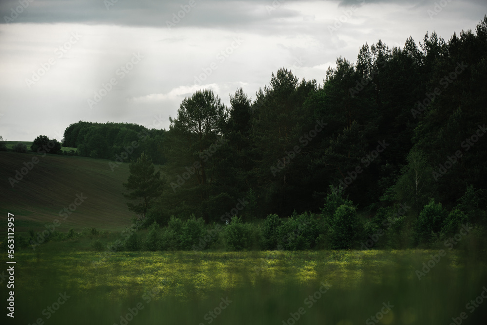 Fototapeta premium Summer landscape after the rain outside the city