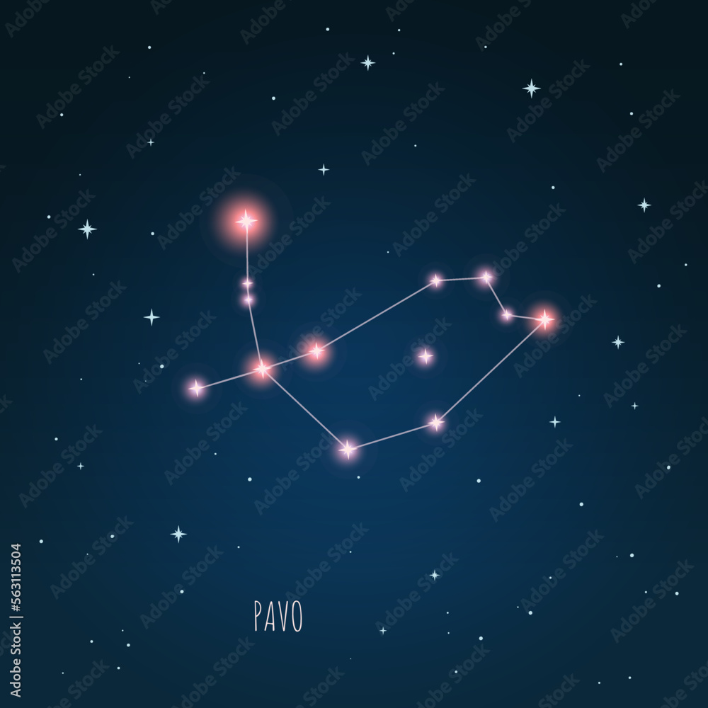 Constellation scheme in starry sky. Open space. Vector illustration Pavo constellation through a telescope