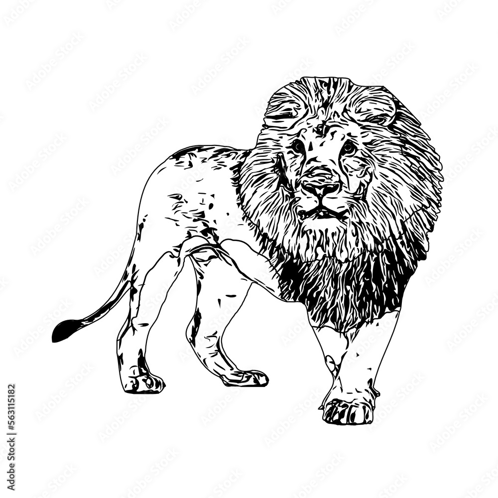 Fototapeta premium black and white sketch of a lion with a transparent background