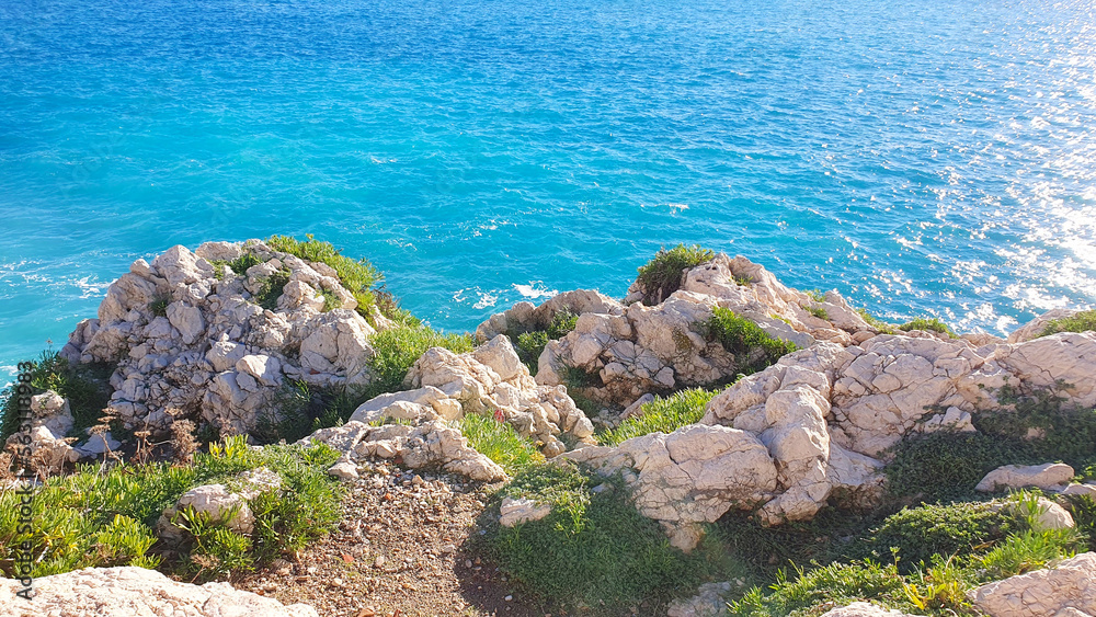 Azure sea and coast from rocks and plants. Natural background, Nice, Cote d'Azur, France on the French Riviera. Azure sea and coast from rocks and plants. Natural background, Nice, Cote d'Azur, France on the French Riviera.
