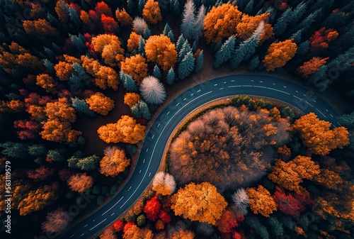 illustration, road in the middle of a forest, seen from a drone, image generated by AI © Jorge Ferreiro