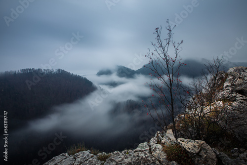 fog in the mountains © Sieku Photo
