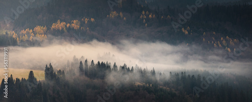 fog in the mountains © Sieku Photo