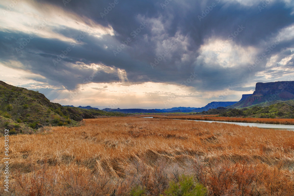 The valley and wetlands of the Bill Williams River in Bill Williams River National Wildlife Refuge, Arizona, USA, on a cloudy day
