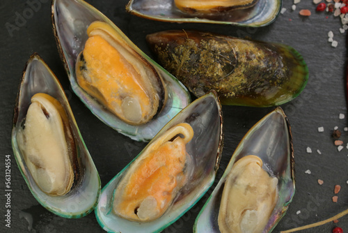 green mussel clam in shell closeup photo