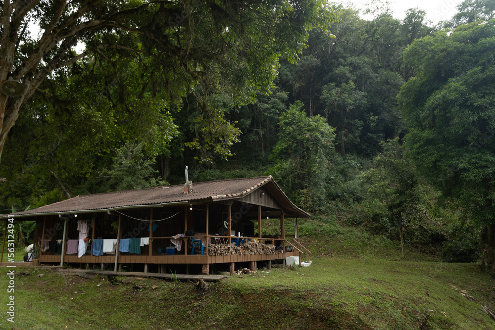 wooden old hut on the river in the woods
