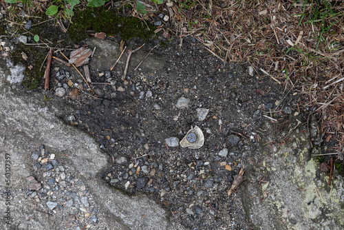 Geodetic survey marker pin in dirt and rock matrix, iron surveyor spike, land surveying background, horizontal aspect