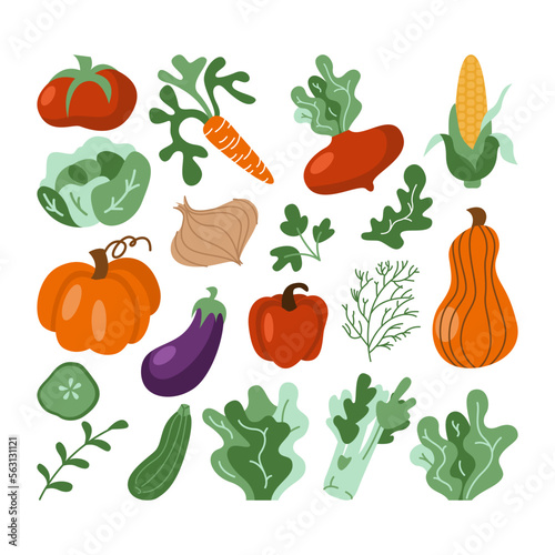 Vector vegetables icons set in cartoon flat style. Collection farm locally grown product for restaurant menu, market label. Tomatoes, carrot, pepper, pumpkin, corn isolated on background