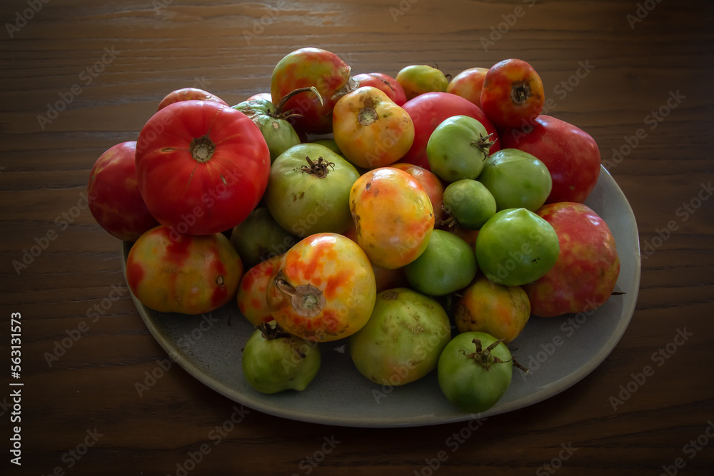 Red and green tomatoes on a plate Red and green tomatoes on a plate