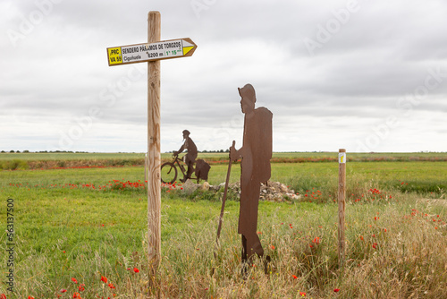 Camino de Madrid - Sendero Páramos de Torozos rural path next to Wamba village, province of Valladolid, Castile and Leon, Spain photo