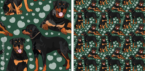 Pattern design with several Rottweiler dogs, funny doodles, and seamless pattern.T-shirt textile, wallpaper, wrapping paper, background graphic design with hearts on green background. Valentine's Day