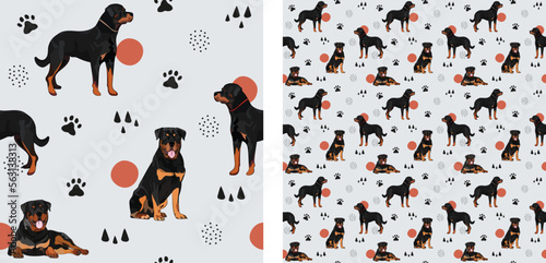 Seamless Rottweiler dog pattern, holiday texture. Square format, t-shirt, poster, packaging, textile, socks, textile, fabric, decoration, wrapping paper. Trendy hand-drawn dogs wallpaper.