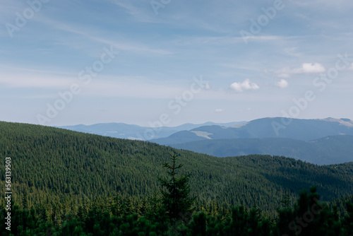 Mountain landscape in Ukrainian Carpathians in summer