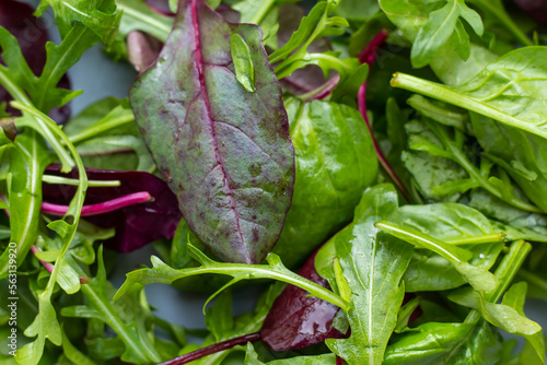 Fresh salad plate with mixed greens (arugula, mesclun, mache). Healthy food. Green food.