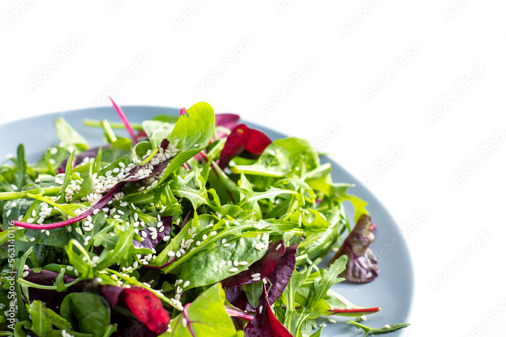 Fresh salad plate with mixed greens (arugula, mesclun, mache) on a white background. Healthy food. Green food.