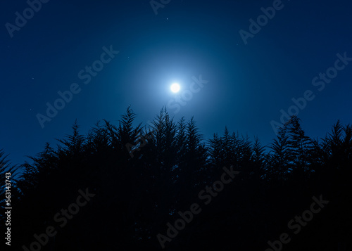 Hermosa noche de luna