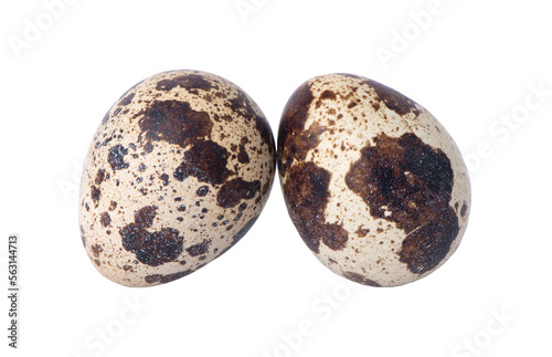 Quail eggs isolated on white background. Fresh quail eggs macro.