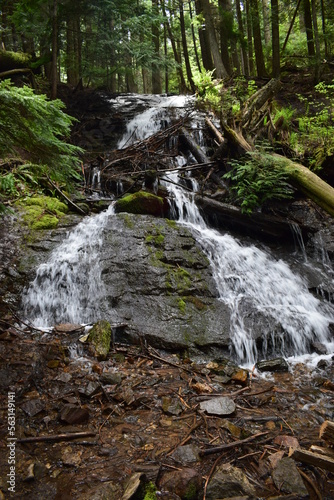 waterfall in the woods