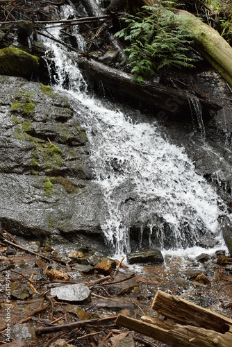 waterfall in the forest