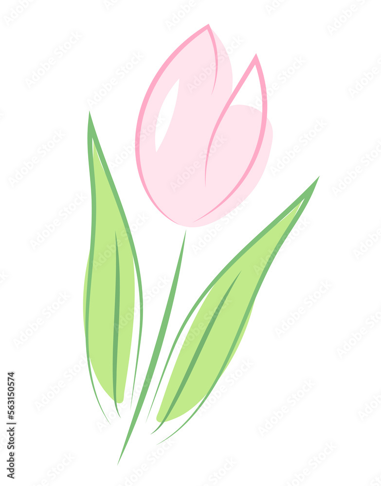 Różowy tulipan ilustracja Różowy tulipan ilustracja