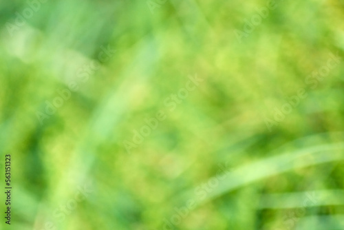 Green yellow natural blurred bokeh background