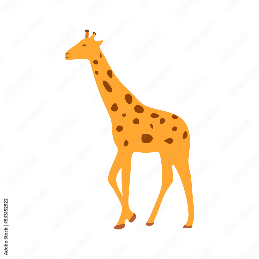 Fototapeta premium Giraffe flat illustration isolated on white background. Cartoon cute giraffe vector illustration