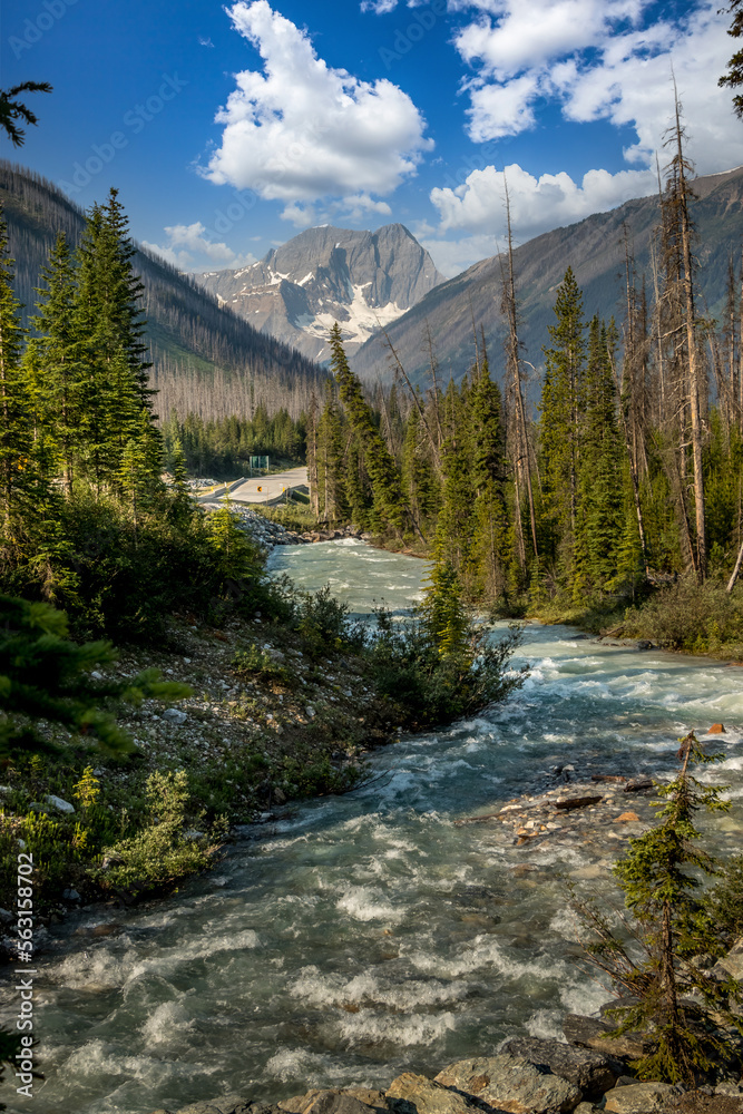 Confluence of Tokkum Creek and Kootenay River Marble Canyon Kootenay National Park British Columbia Canada