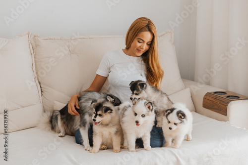 Mulher brincando com os filhotes de cachorro, pomsky, cães de raça photo