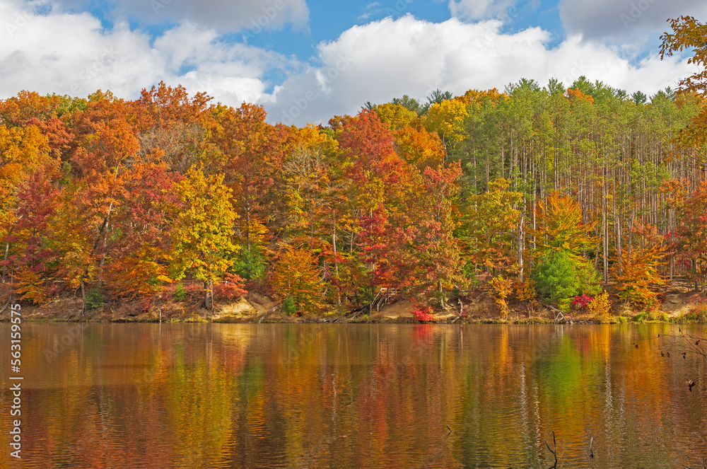 Pastel Reflections of an Autumn Forest