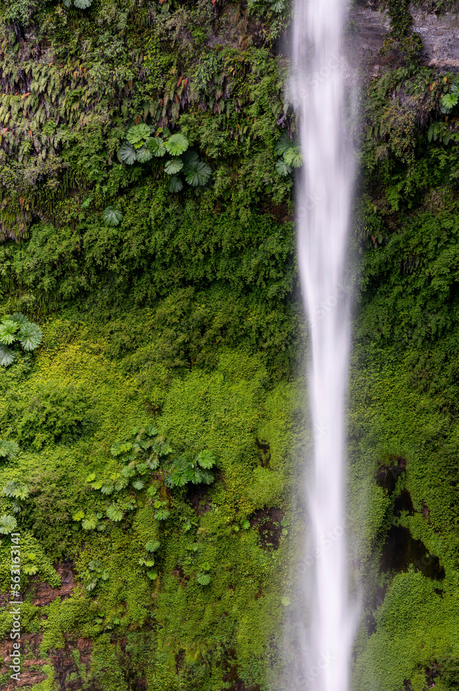 waterfall in the forest