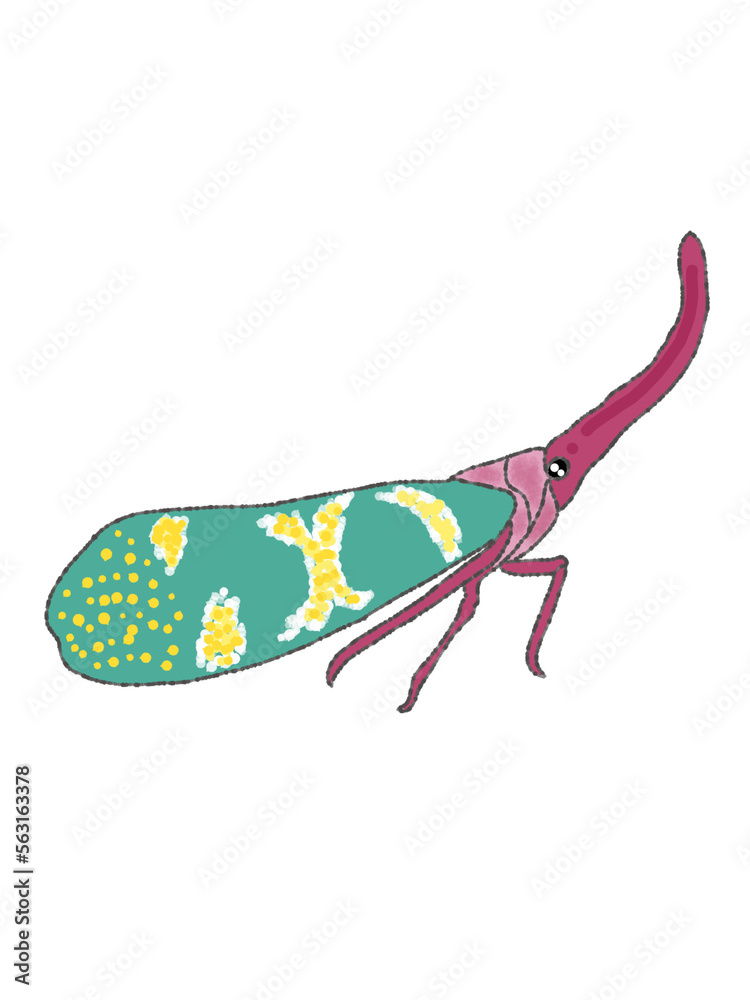 Insect cute for design Insect cute for design