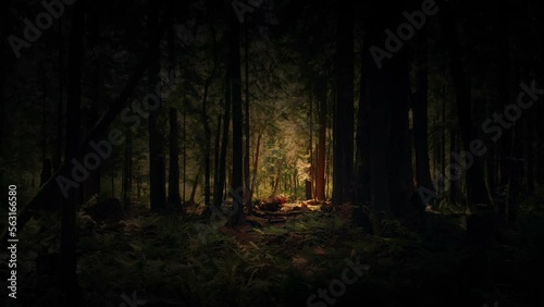 Storybook Scene Moving Through Dark Forest
 photo