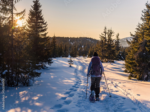 Young woman snowshoe hiking in a sunset forest photo