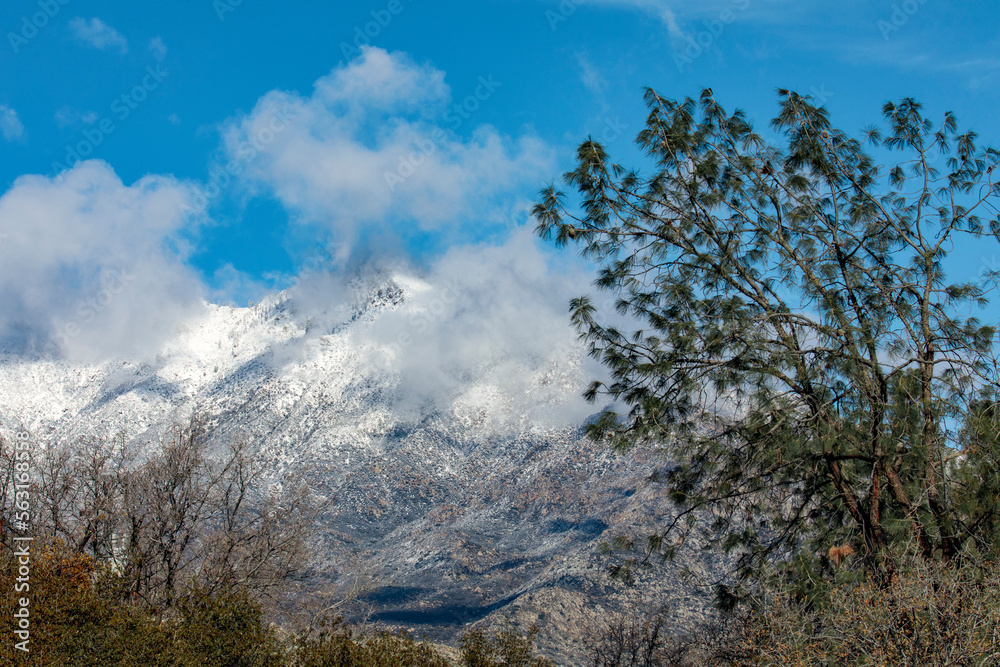 Sierra Winter 3