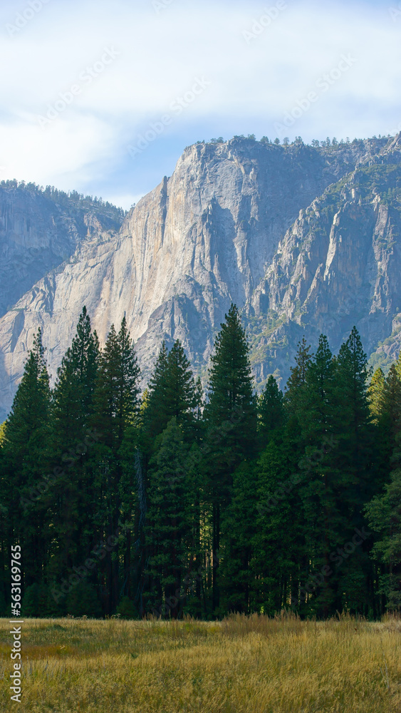 Fototapeta premium Yosemite National Park in California’s Sierra Nevada mountains, California, USA 