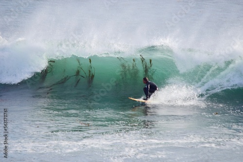 Wave with Surfer and Seaweed