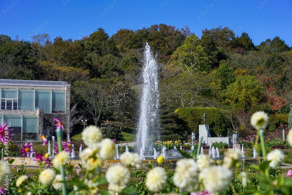 Naklejka premium 満開のダリア越しに見る秋の大きな噴水の情景