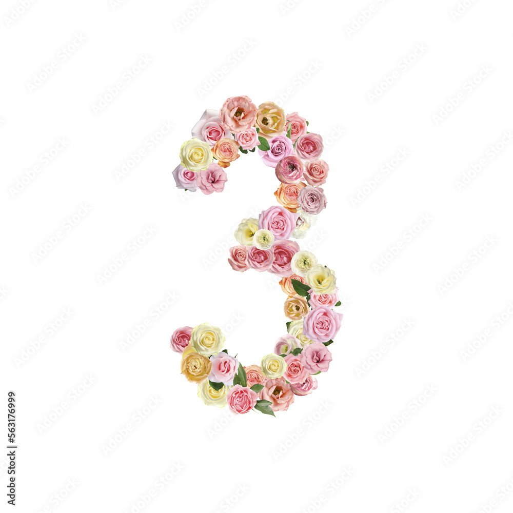 Number 3 made of beautiful rose flowers on white background