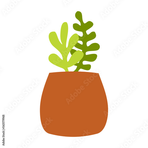hand drawn illustration cute clay pot and green succulent vector