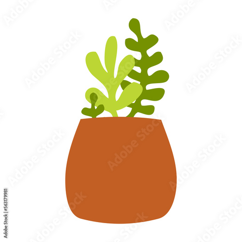 hand drawn illustration cute clay pot and green plant succulent cactus vector