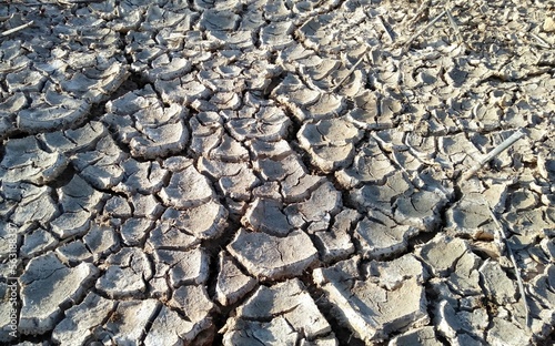 dry cracked earth