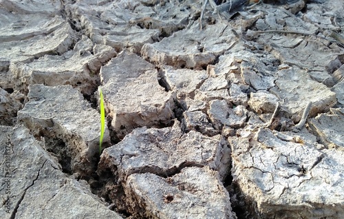 clay soil that has cracked due to drought