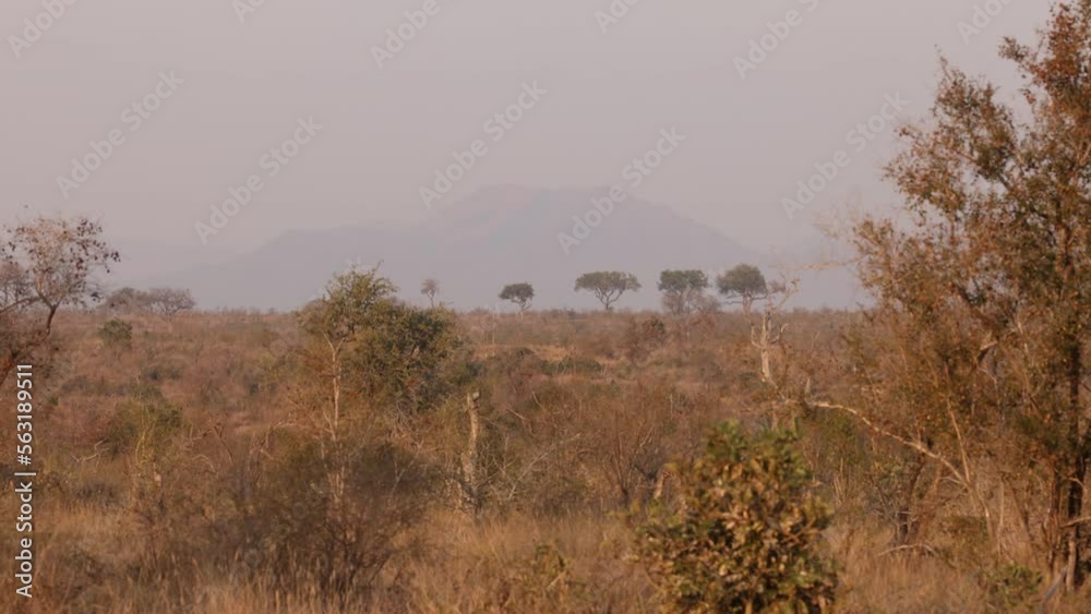 African Landscape With Mountain In Distance African Landscape With Mountain In Distance