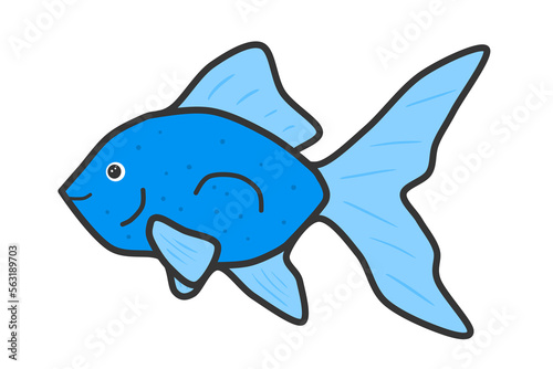 Illustration design of blue goldfish