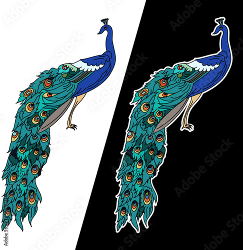Chinese Peacock tattoo.colorful peacock sticker design for printing.