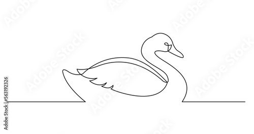 continuous line drawing vector illustration with FULLY EDITABLE STROKE of of swan gliding on water