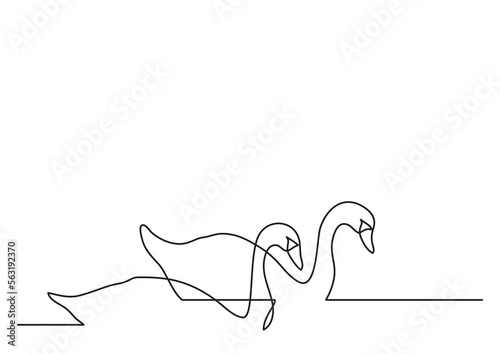 Fototapeta Naklejka Na Ścianę i Meble -  continuous line drawing vector illustration with FULLY EDITABLE STROKE of two swans