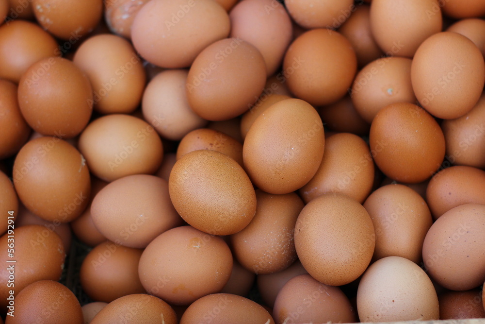 fresh eggs for sale at a market