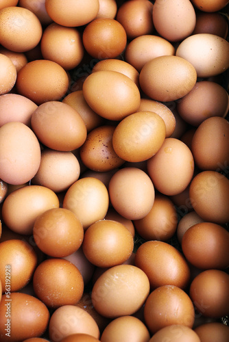 eggs in the basket