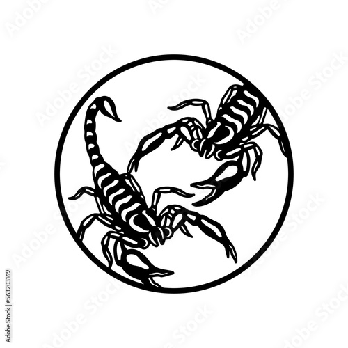 vector illustration of a black scorpion